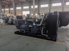 300 千瓦柴油發電機組（柴動力）技術參數與配置說明